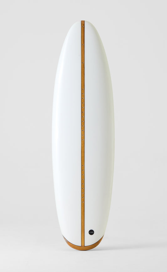white_Canvas_surfboard_-_standing_up